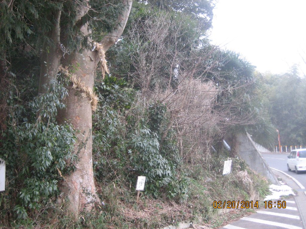 辻切り